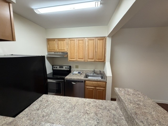 Gallery Photo 5